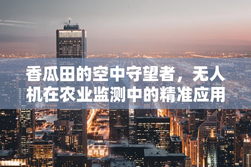 香瓜田的空中守望者，无人机在农业监测中的精准应用挑战