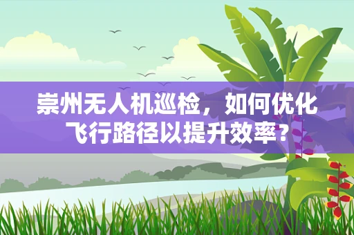 崇州无人机巡检，如何优化飞行路径以提升效率？