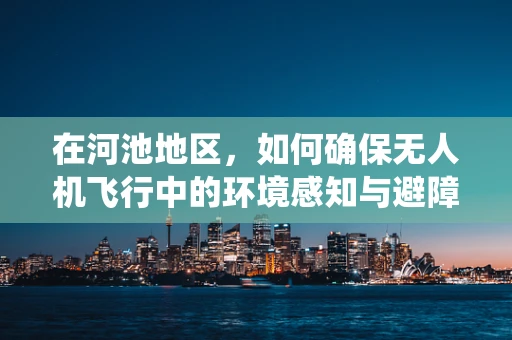 在河池地区，如何确保无人机飞行中的环境感知与避障系统高效运作？