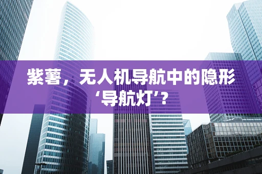 紫薯，无人机导航中的隐形‘导航灯’？