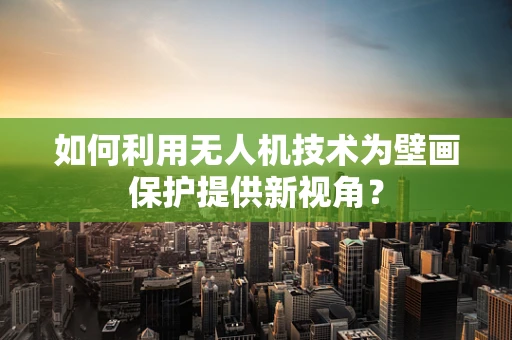 如何利用无人机技术为壁画保护提供新视角？