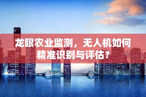 龙眼农业监测，无人机如何精准识别与评估？