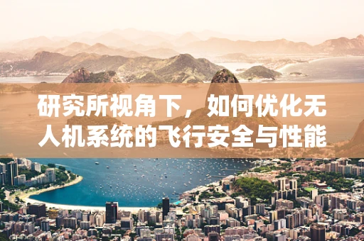 研究所视角下，如何优化无人机系统的飞行安全与性能？
