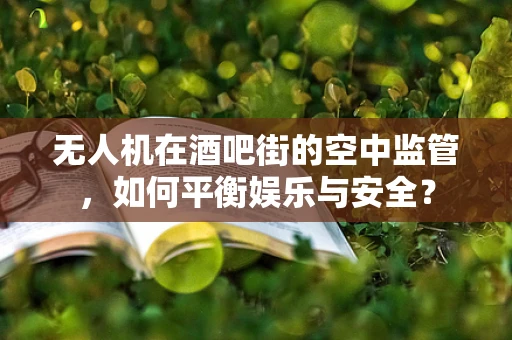 无人机在酒吧街的空中监管，如何平衡娱乐与安全？