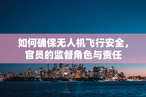 如何确保无人机飞行安全，官员的监督角色与责任