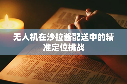 无人机在沙拉酱配送中的精准定位挑战