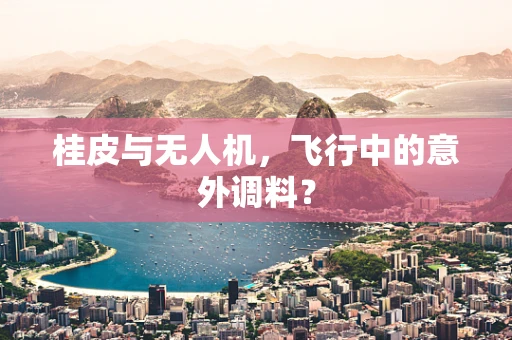 桂皮与无人机，飞行中的意外调料？