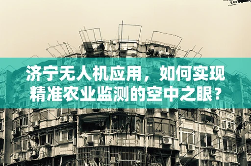 济宁无人机应用，如何实现精准农业监测的空中之眼？