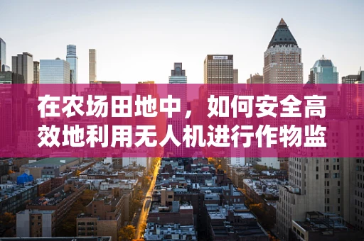 在农场田地中，如何安全高效地利用无人机进行作物监测？