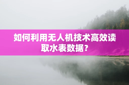 如何利用无人机技术高效读取水表数据？