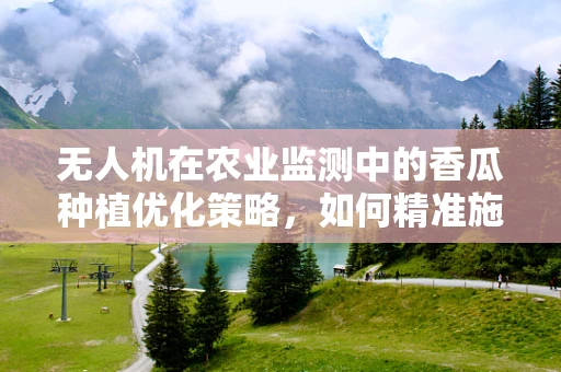 无人机在农业监测中的香瓜种植优化策略，如何精准施药？