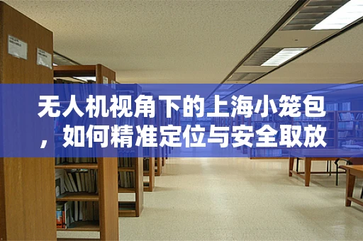 无人机视角下的上海小笼包，如何精准定位与安全取放？