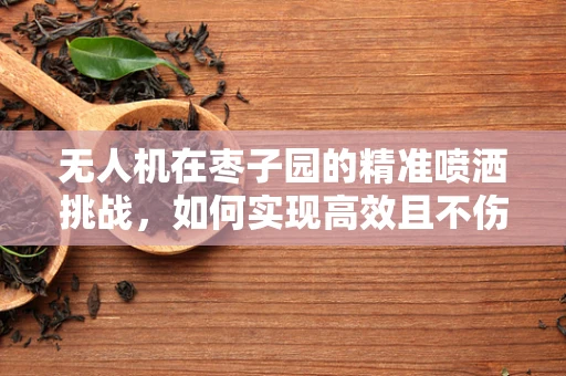 无人机在枣子园的精准喷洒挑战，如何实现高效且不伤果实的作业？