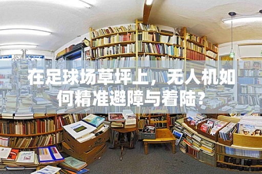 在足球场草坪上，无人机如何精准避障与着陆？
