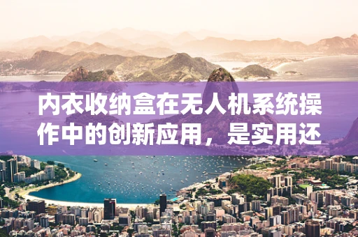 内衣收纳盒在无人机系统操作中的创新应用，是实用还是荒诞？