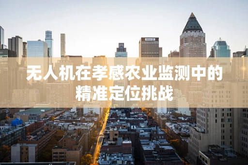 无人机在孝感农业监测中的精准定位挑战