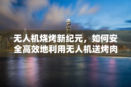 无人机烧烤新纪元，如何安全高效地利用无人机送烤肉至野餐区？