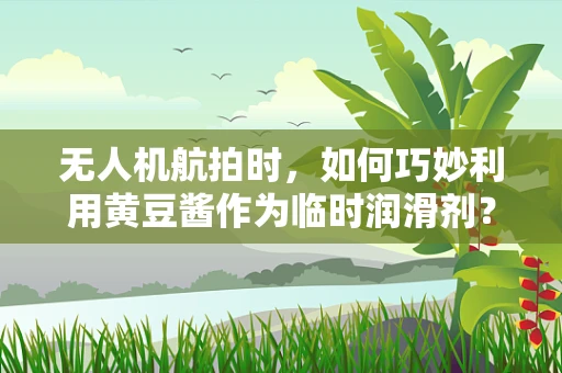 无人机航拍时，如何巧妙利用黄豆酱作为临时润滑剂？