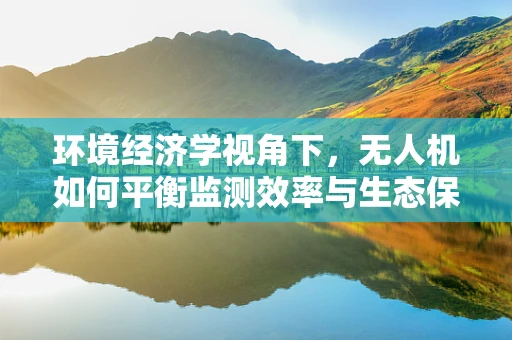 环境经济学视角下，无人机如何平衡监测效率与生态保护？