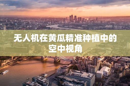 无人机在黄瓜精准种植中的空中视角