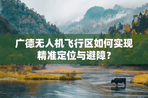 广德无人机飞行区如何实现精准定位与避障？