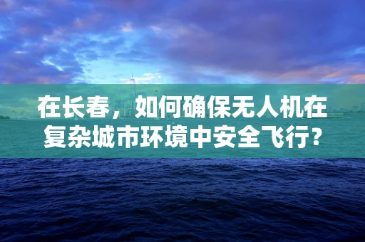 在长春，如何确保无人机在复杂城市环境中安全飞行？