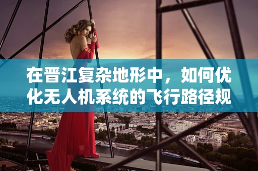 在晋江复杂地形中，如何优化无人机系统的飞行路径规划？