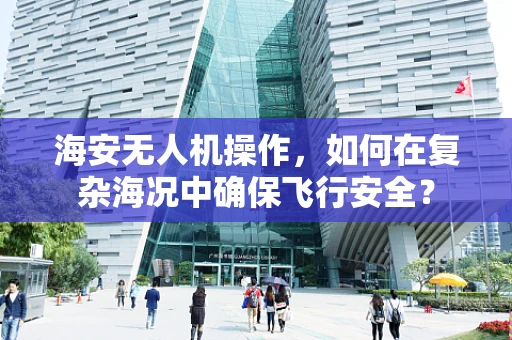 海安无人机操作，如何在复杂海况中确保飞行安全？