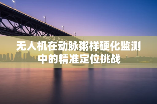 无人机在动脉粥样硬化监测中的精准定位挑战