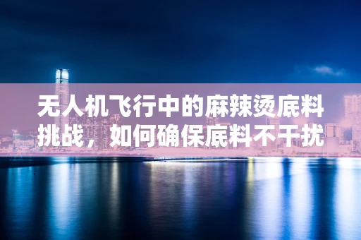 无人机飞行中的麻辣烫底料挑战，如何确保底料不干扰信号？