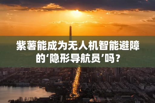 紫薯能成为无人机智能避障的‘隐形导航员’吗？