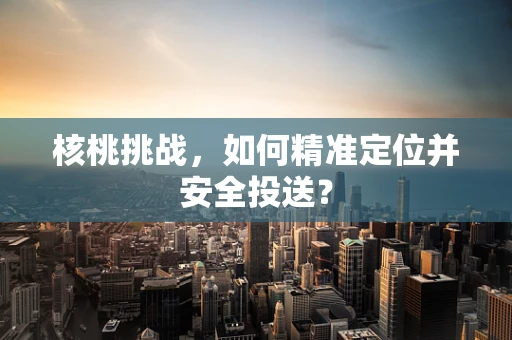 核桃挑战，如何精准定位并安全投送？