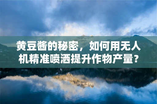 黄豆酱的秘密，如何用无人机精准喷洒提升作物产量？