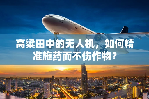 高粱田中的无人机，如何精准施药而不伤作物？