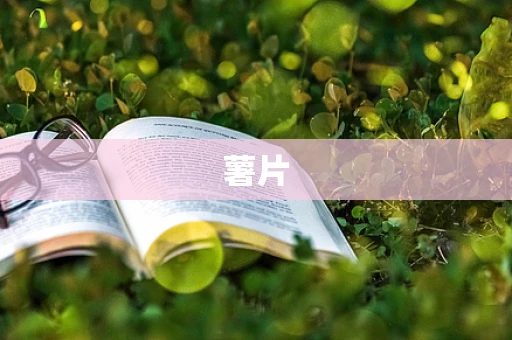 薯片