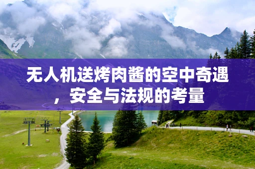 无人机送烤肉酱的空中奇遇，安全与法规的考量