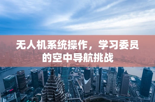 无人机系统操作，学习委员的空中导航挑战