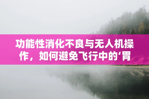 功能性消化不良与无人机操作，如何避免飞行中的‘胃部不适’？