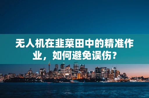 无人机在韭菜田中的精准作业，如何避免误伤？