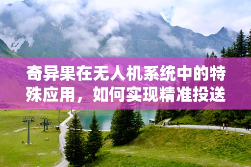 奇异果在无人机系统中的特殊应用，如何实现精准投送？