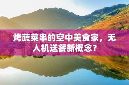烤蔬菜串的空中美食家，无人机送餐新概念？