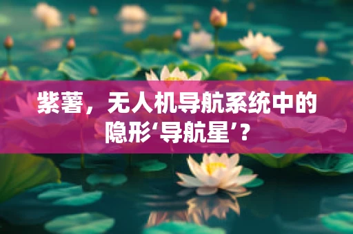 紫薯，无人机导航系统中的隐形‘导航星’？