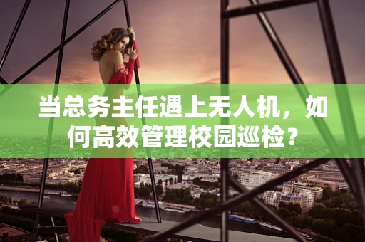 当总务主任遇上无人机，如何高效管理校园巡检？