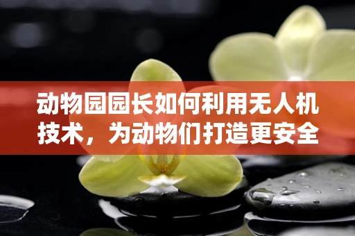 动物园园长如何利用无人机技术，为动物们打造更安全的栖息环境？