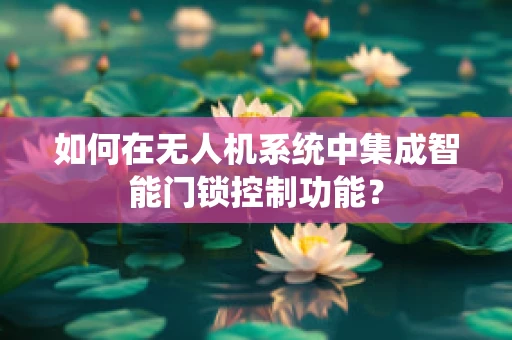 如何在无人机系统中集成智能门锁控制功能？