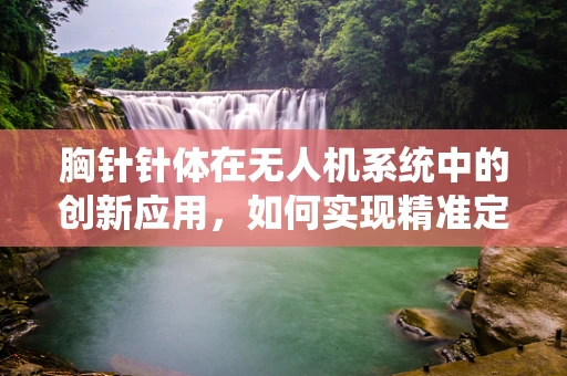 胸针针体在无人机系统中的创新应用，如何实现精准定位与稳定连接？