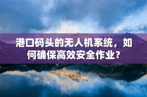 港口码头的无人机系统，如何确保高效安全作业？