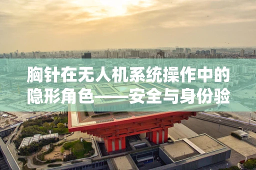 胸针在无人机系统操作中的隐形角色——安全与身份验证的微妙平衡