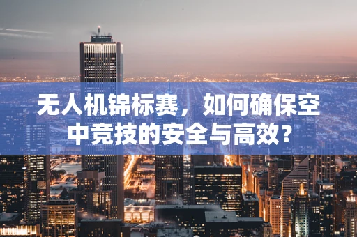 无人机锦标赛，如何确保空中竞技的安全与高效？