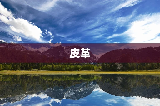 皮革